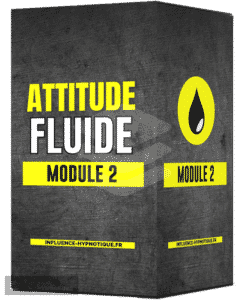 Module 2 attitude fluide